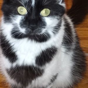 Meet your Posher, Galina